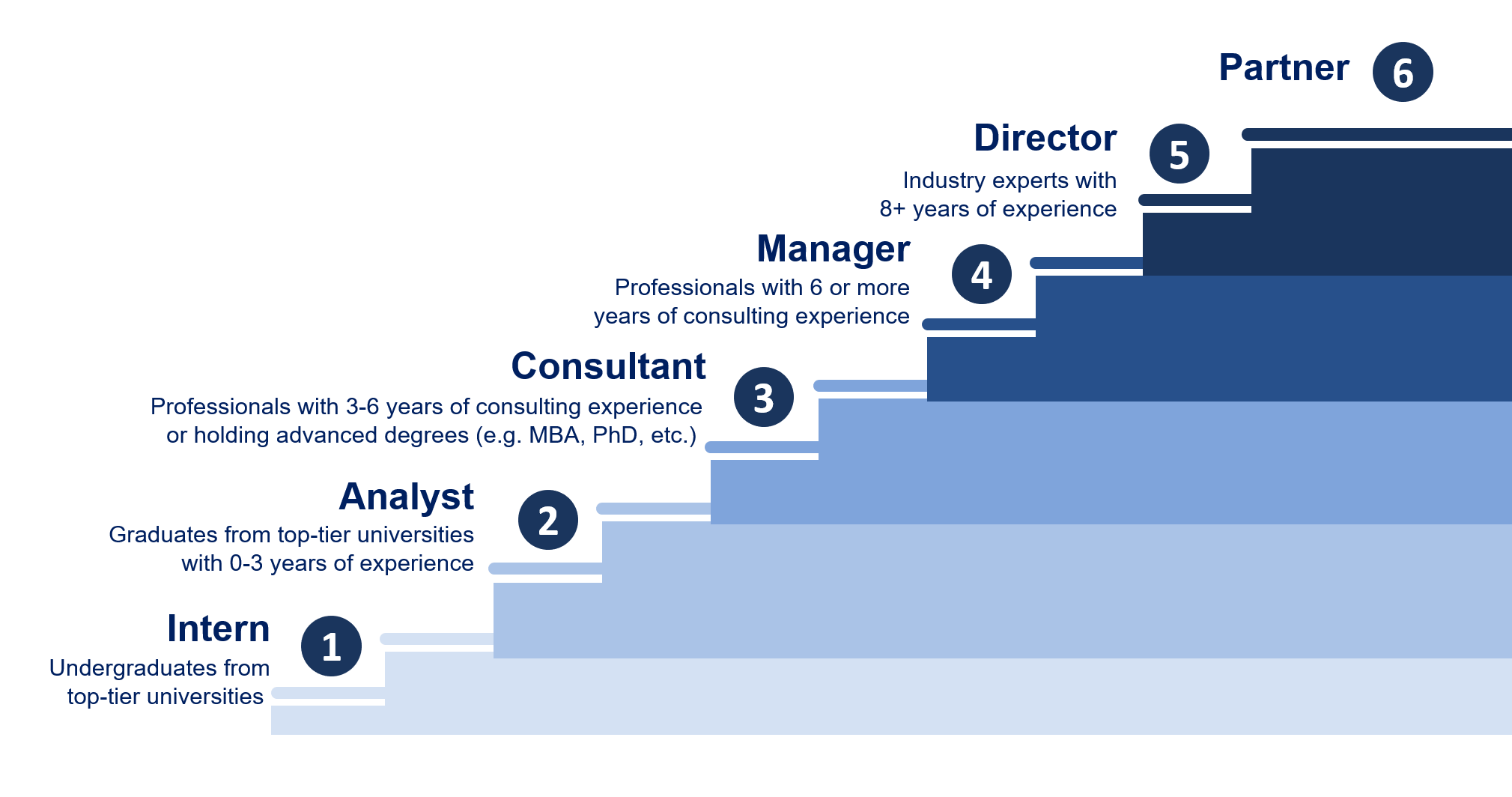 Your career path at Sparc